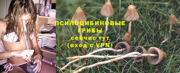 кристаллы Дмитров