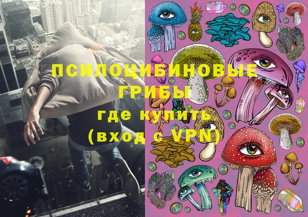 ГАЛЛЮЦИНОГЕННЫЕ ГРИБЫ Дмитровск