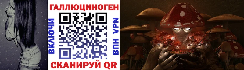 наркошоп  Белая Калитва  Галлюциногенные грибы мицелий 